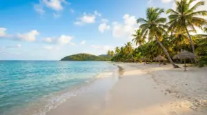 Spiaggia tropicale tranquilla con palme, mare turchese e sabbia chiara, ideale per vacanze con mare caldo e poca gente